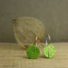 Physalis-Ohrhänger, grün, rund